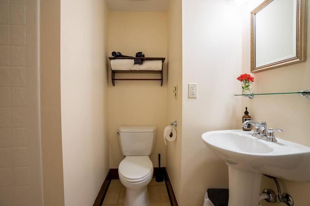 Charming 1Bd Suite In Capitol Hill - Foxglove Inn Seattle Ngoại thất bức ảnh